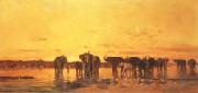 African Elephants